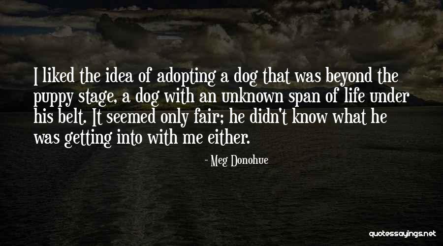 Aproximacion De Taylor Quotes By Meg Donohue Aproximacion De Taylor Quotes By Meg Donohue