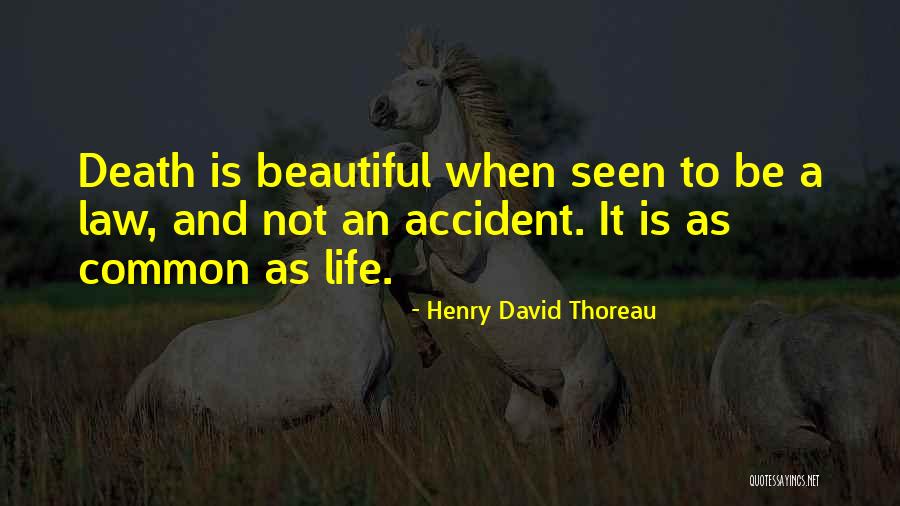 Apsamanojusios Quotes By Henry David Thoreau Apsamanojusios Quotes By Henry David Thoreau