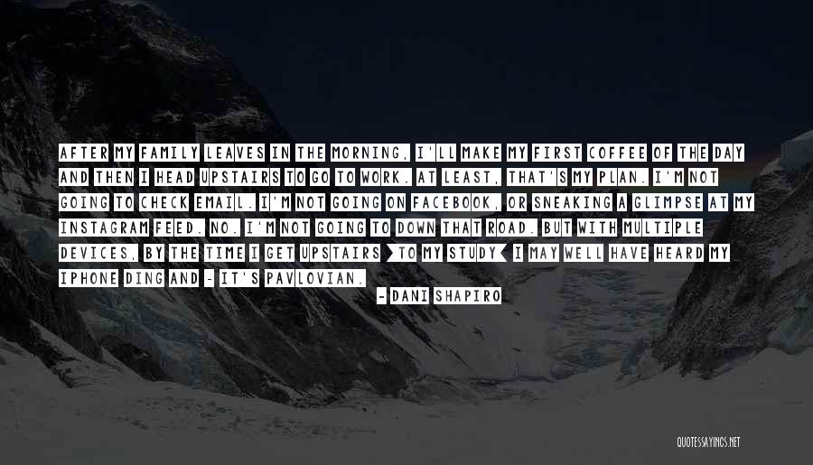 Apucashnet Quotes By Dani Shapiro Apucashnet Quotes By Dani Shapiro