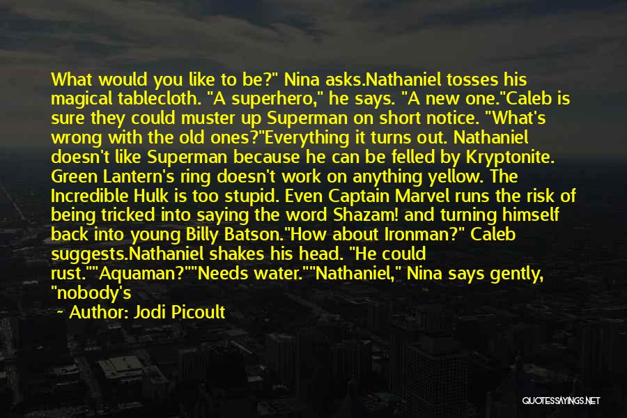 Aquaman Quotes By Jodi Picoult