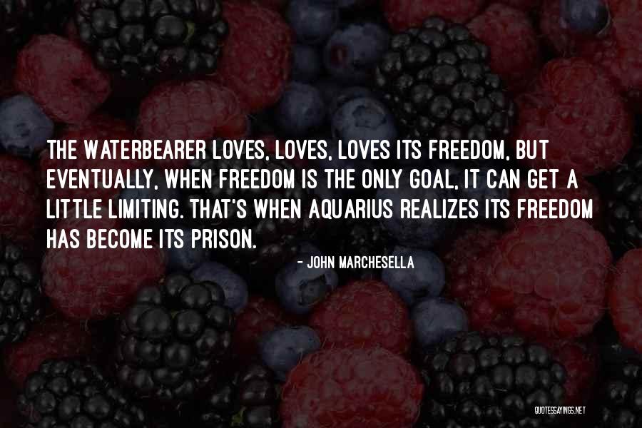 Aquarius Quotes By John Marchesella