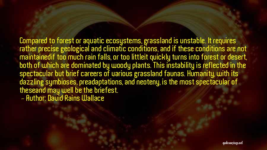 Aquatic Plants Quotes By David Rains Wallace