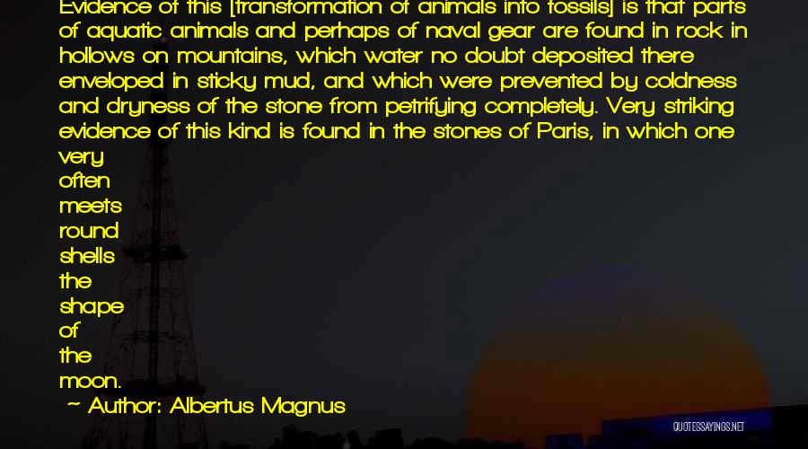 Aquatic Quotes By Albertus Magnus