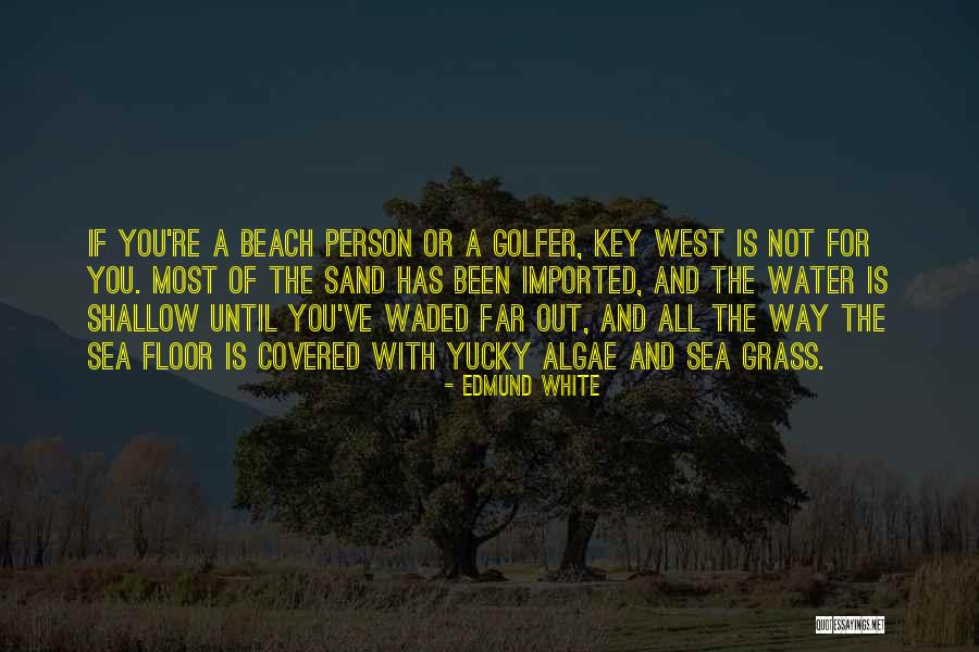 Aquecer Comida Quotes By Edmund White Aquecer Comida Quotes By Edmund White
