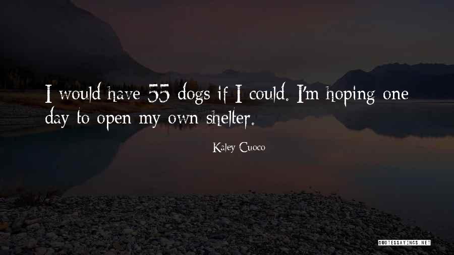 Aquecer Comida Quotes By Kaley Cuoco Aquecer Comida Quotes By Kaley Cuoco