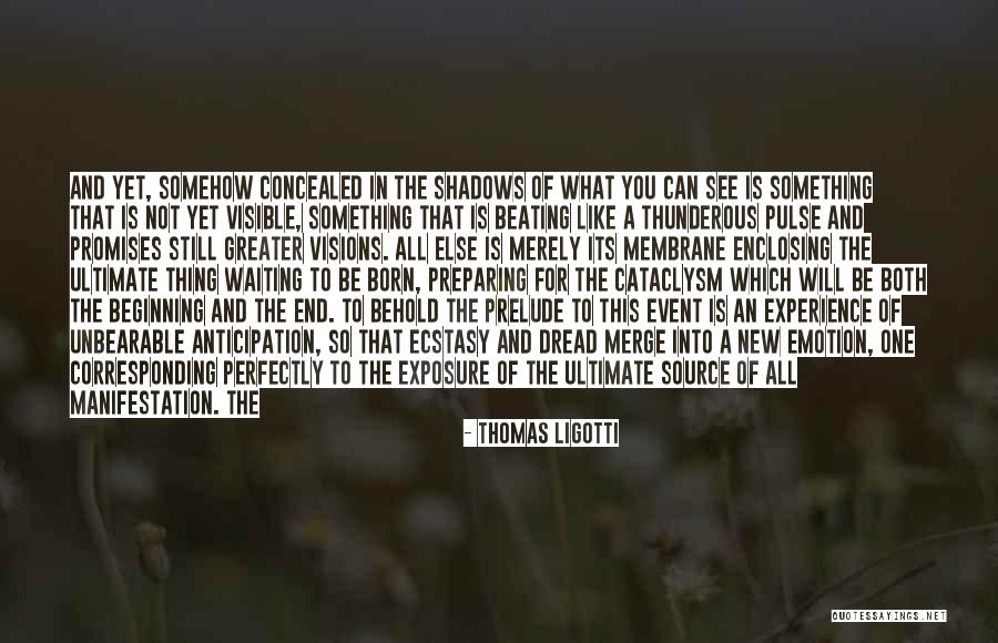 Aquecer Comida Quotes By Thomas Ligotti Aquecer Comida Quotes By Thomas Ligotti
