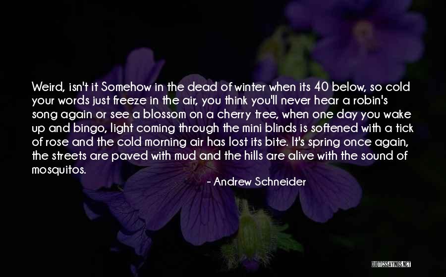 Aqueelah Dunaway Quotes By Andrew Schneider Aqueelah Dunaway Quotes By Andrew Schneider