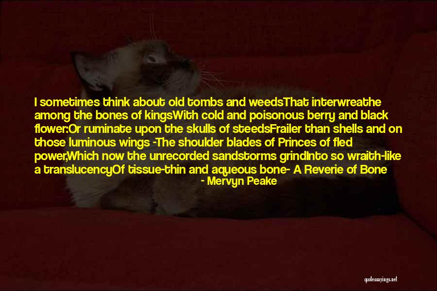 Aqueous Quotes By Mervyn Peake Aqueous Quotes By Mervyn Peake