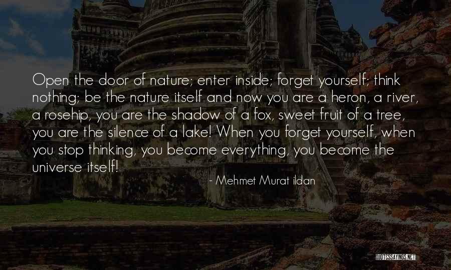 Aquidneck Island Quotes By Mehmet Murat Ildan Aquidneck Island Quotes By Mehmet Murat Ildan