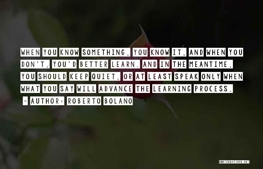 Aquilina Quotes By Roberto Bolano