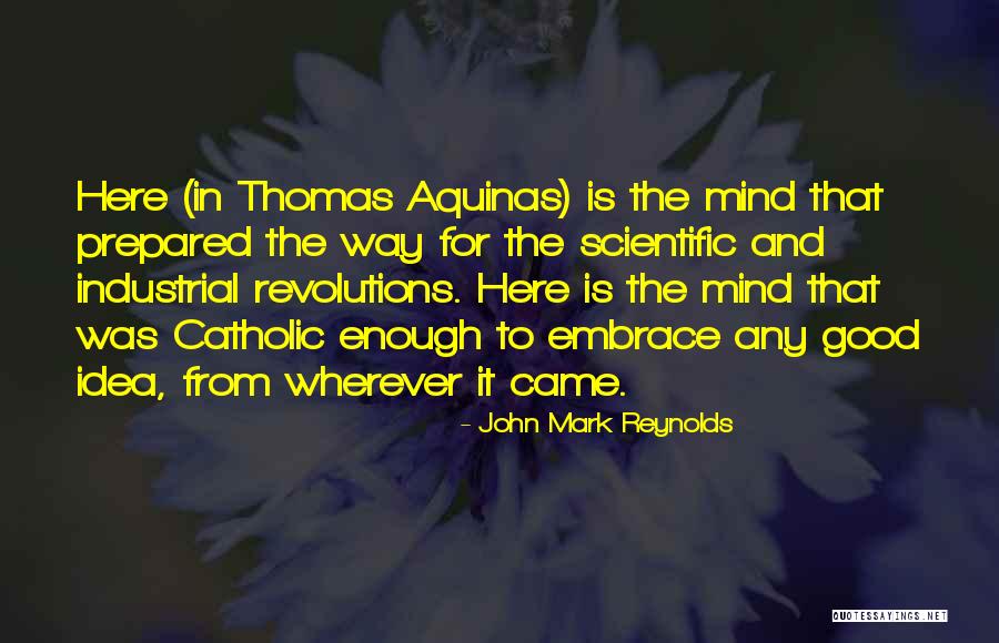 Aquinas Quotes By John Mark Reynolds Aquinas Quotes By John Mark Reynolds