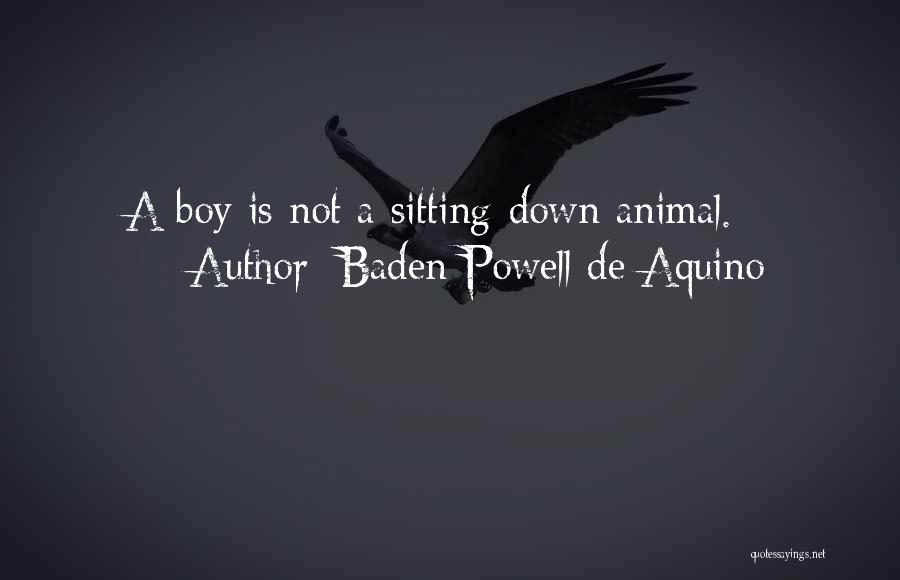 Aquino Quotes By Baden Powell De Aquino