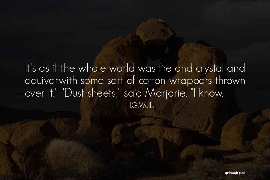 Aquiver Quotes By H.G.Wells Aquiver Quotes By H.G.Wells
