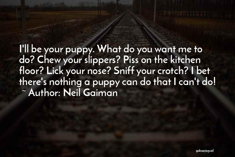 Ara Sander Quotes By Neil Gaiman