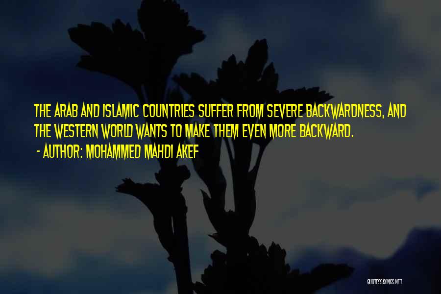 Arab Countries Quotes By Mohammed Mahdi Akef