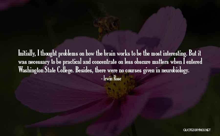 Arabada Sakso Quotes By Irwin Rose Arabada Sakso Quotes By Irwin Rose