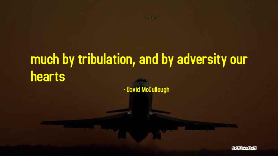 Arabalar 2 Quotes By David McCullough Arabalar 2 Quotes By David McCullough