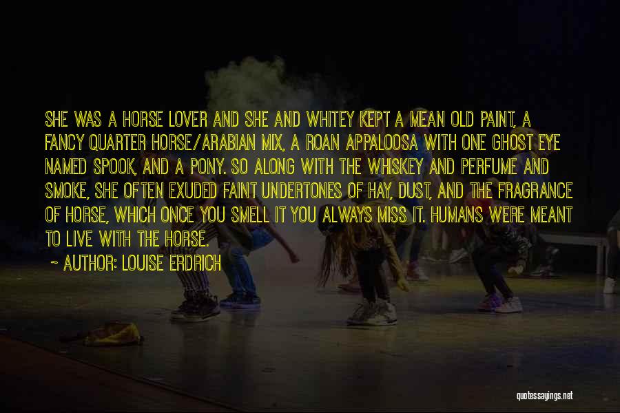 Arabian Horses Quotes By Louise Erdrich