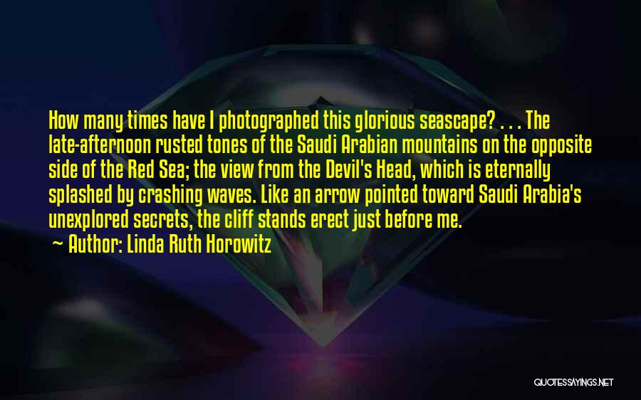 Arabian Sea Quotes By Linda Ruth Horowitz