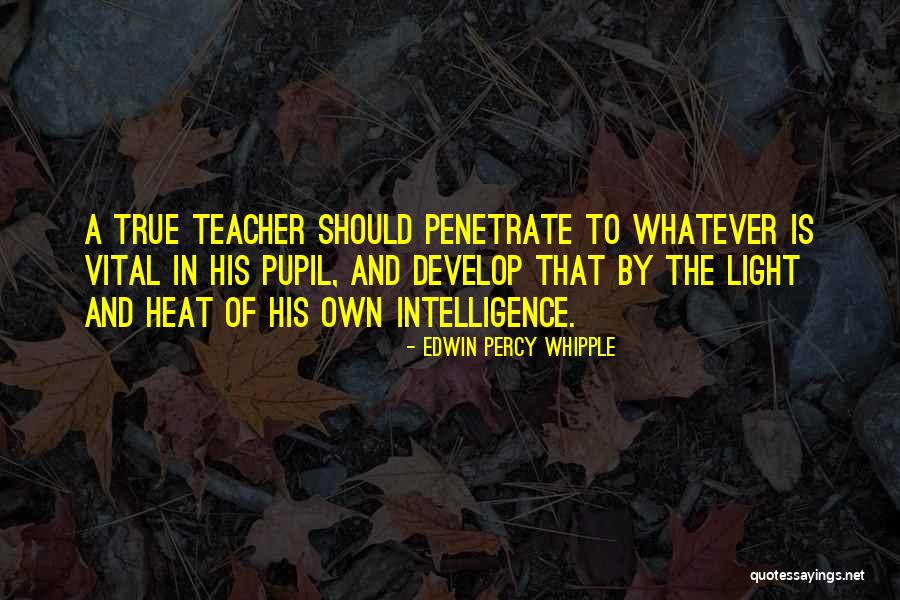 Arabic Wise Quotes By Edwin Percy Whipple Arabic Wise Quotes By Edwin Percy Whipple