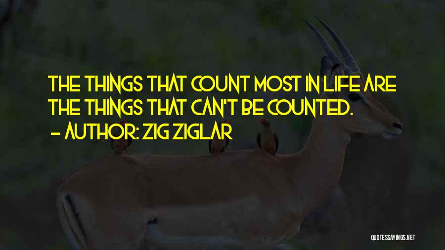 Araborn Quotes By Zig Ziglar