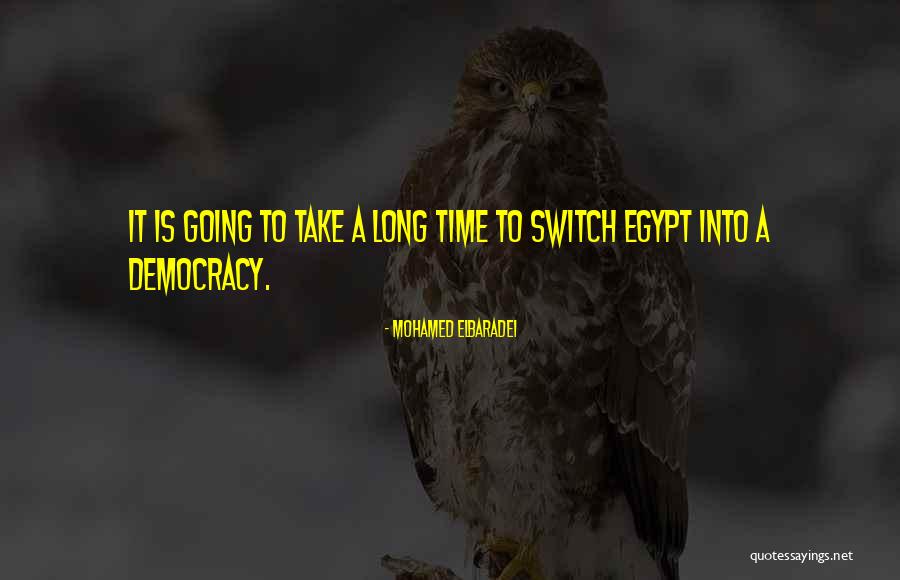 Araby Theme Quotes By Mohamed ElBaradei Araby Theme Quotes By Mohamed ElBaradei