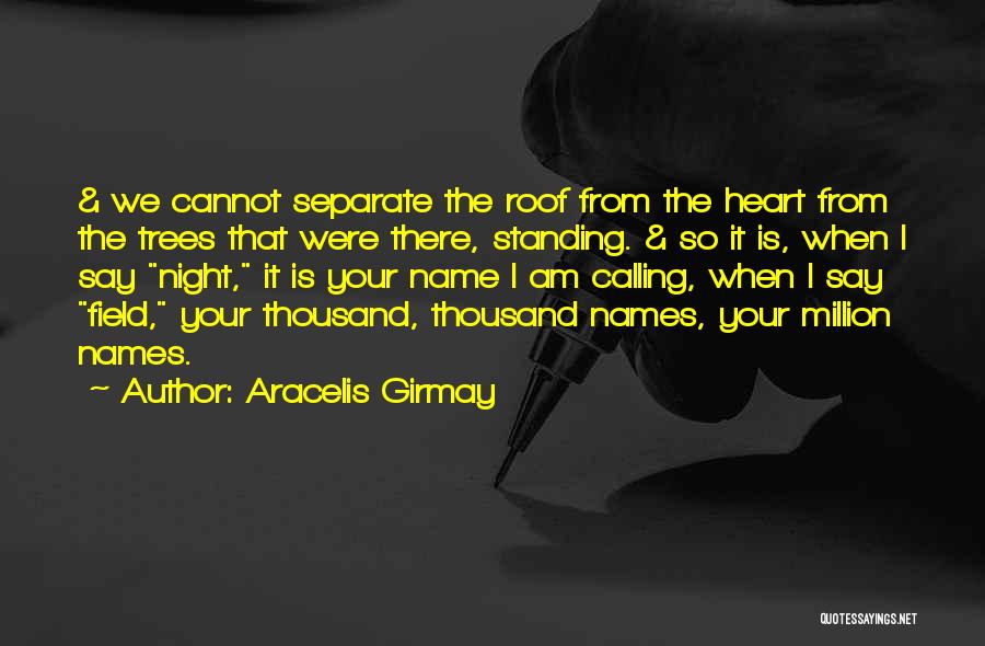 Aracelis Girmay Quotes 1592098