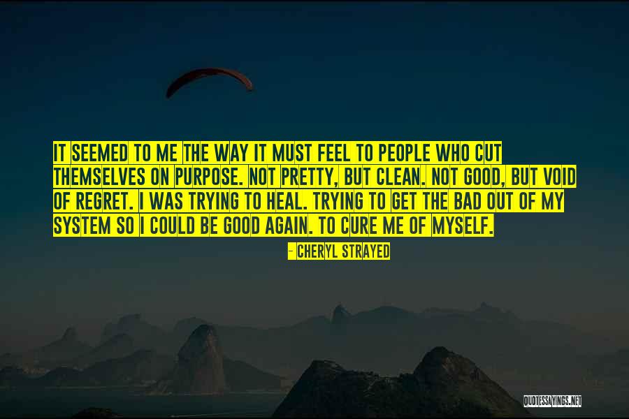 Arachnid Quotes By Cheryl Strayed Arachnid Quotes By Cheryl Strayed