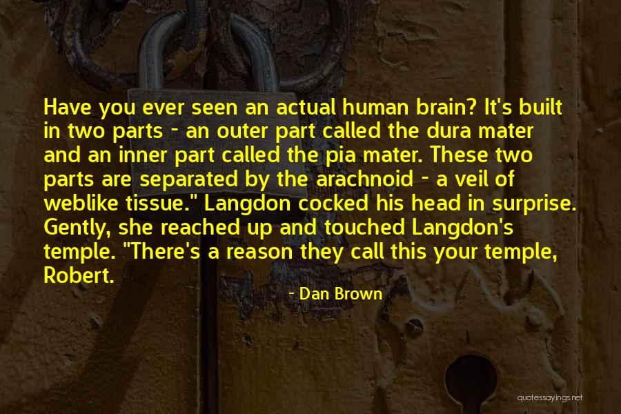 Arachnoid Quotes By Dan Brown Arachnoid Quotes By Dan Brown