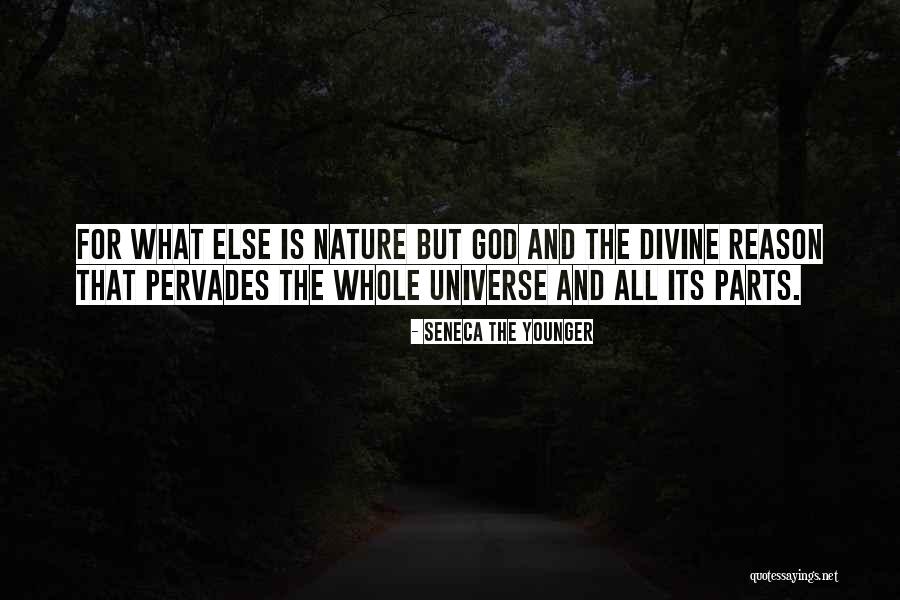 Araignee Paon Quotes By Seneca The Younger Araignee Paon Quotes By Seneca The Younger