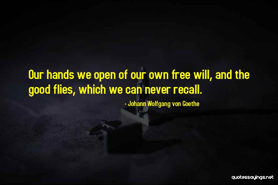Araiza Family History Quotes By Johann Wolfgang Von Goethe Araiza Family History Quotes By Johann Wolfgang Von Goethe