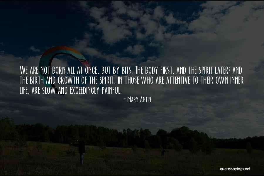Arakelian Enterprises Quotes By Mary Antin Arakelian Enterprises Quotes By Mary Antin