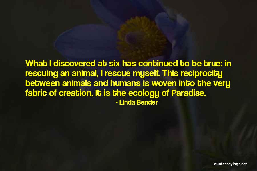Araki Art Quotes By Linda Bender Araki Art Quotes By Linda Bender