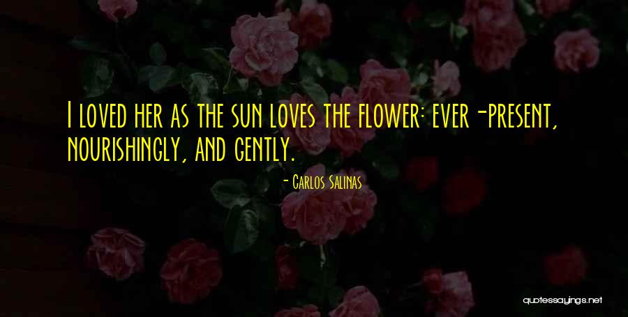 Aramayo Willy Dr Quotes By Carlos Salinas Aramayo Willy Dr Quotes By Carlos Salinas