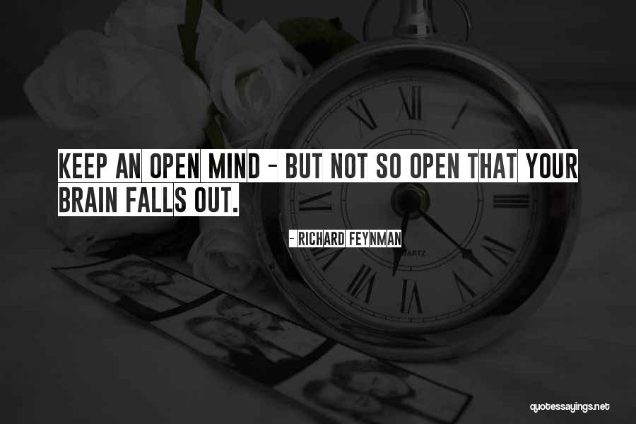 Aramazsan Quotes By Richard Feynman