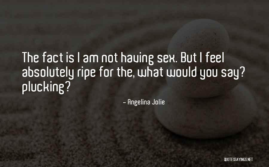 Arando Fruta Quotes By Angelina Jolie Arando Fruta Quotes By Angelina Jolie
