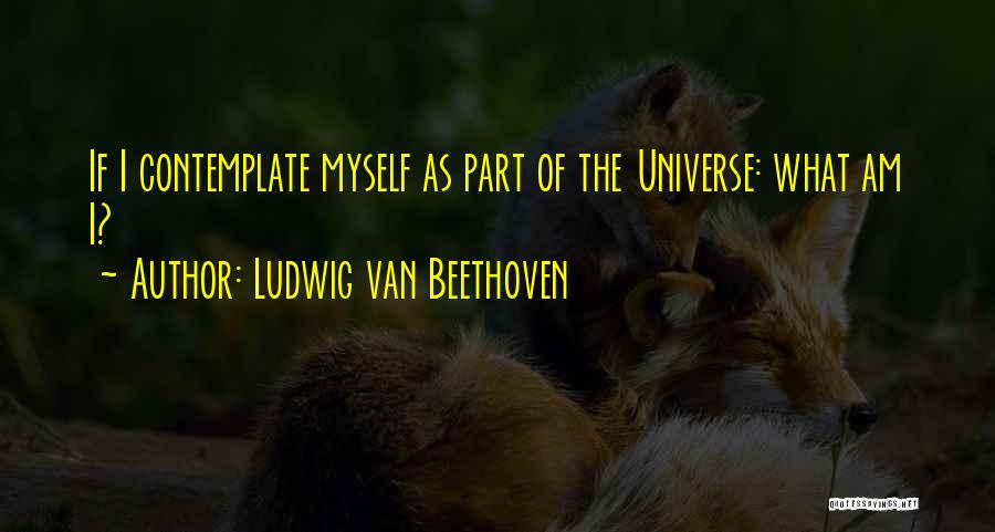 Aranivah Quotes By Ludwig Van Beethoven