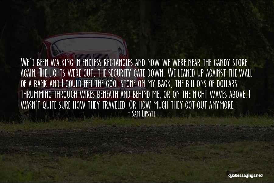 Aranjare Platou Quotes By Sam Lipsyte Aranjare Platou Quotes By Sam Lipsyte