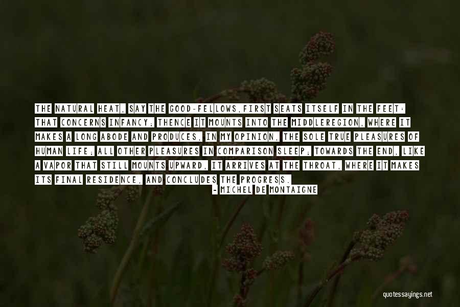 Arata Tokyo Quotes By Michel De Montaigne Arata Tokyo Quotes By Michel De Montaigne