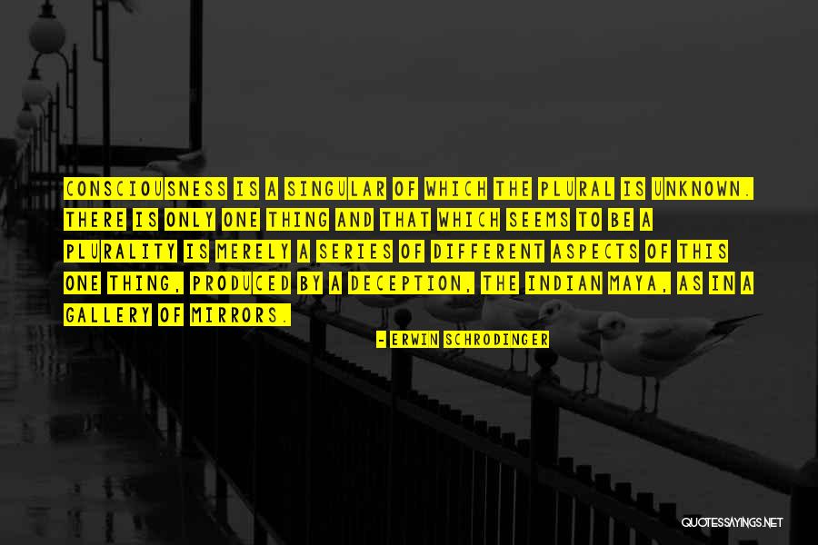 Aravana Quotes By Erwin Schrodinger Aravana Quotes By Erwin Schrodinger