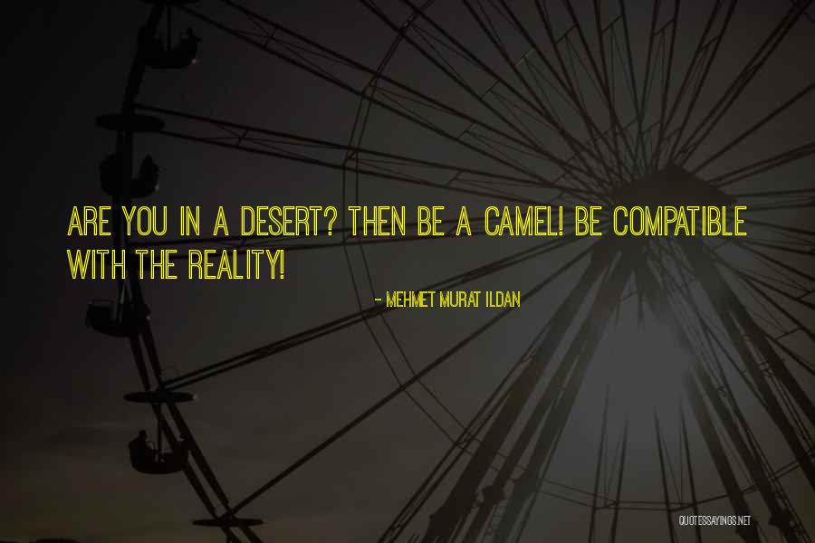 Aravena Alejandro Quotes By Mehmet Murat Ildan Aravena Alejandro Quotes By Mehmet Murat Ildan
