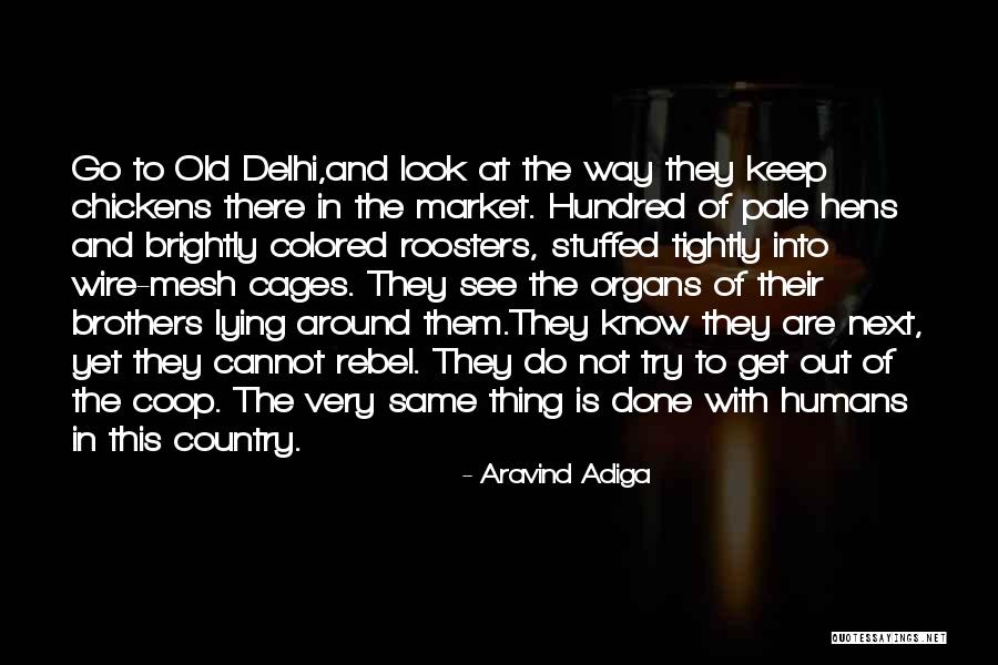 Aravind Adiga Quotes 200330