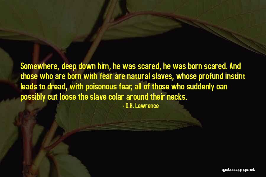 Arbeider Vertaling Quotes By D.H. Lawrence Arbeider Vertaling Quotes By D.H. Lawrence