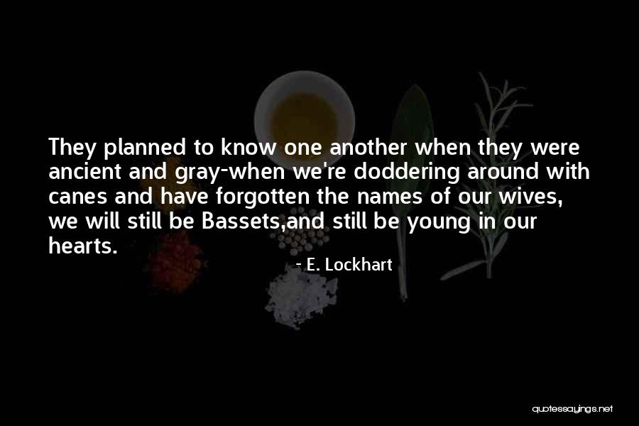 Arbitrage Opportunity Quotes By E. Lockhart Arbitrage Opportunity Quotes By E. Lockhart