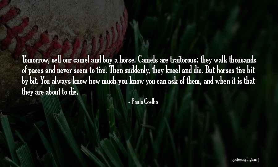 Arbitre In English Quotes By Paulo Coelho Arbitre In English Quotes By Paulo Coelho