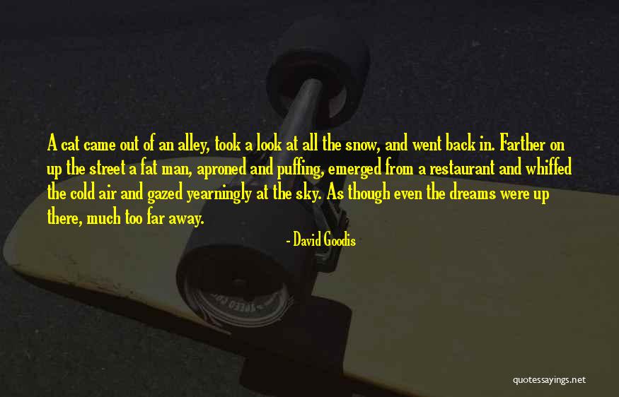 Arboretum Near Quotes By David Goodis Arboretum Near Quotes By David Goodis