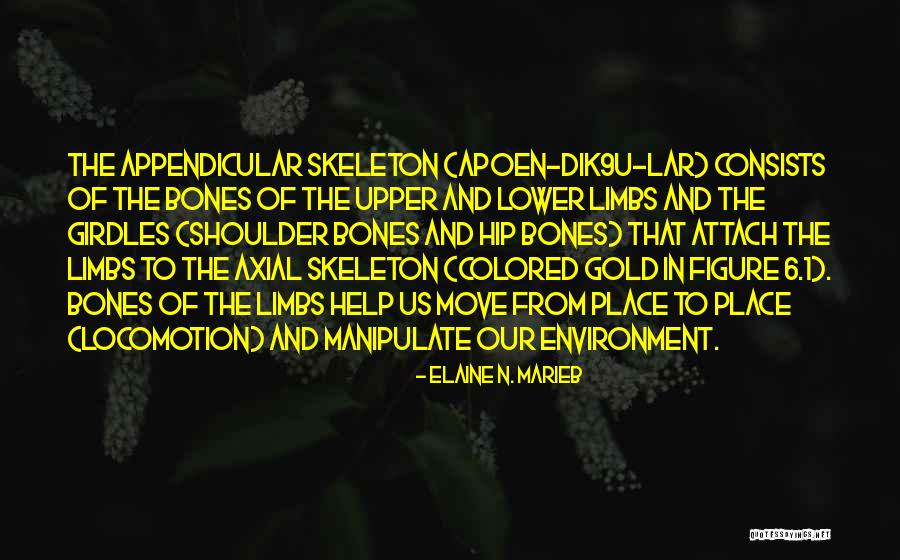 Arbour Week Quotes By Elaine N. Marieb Arbour Week Quotes By Elaine N. Marieb