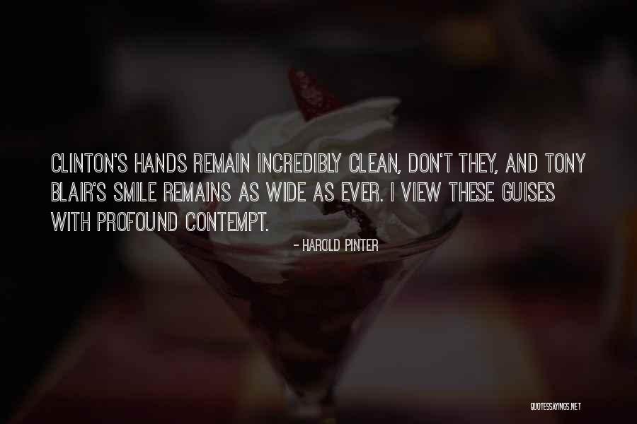 Arbuscular Quotes By Harold Pinter Arbuscular Quotes By Harold Pinter