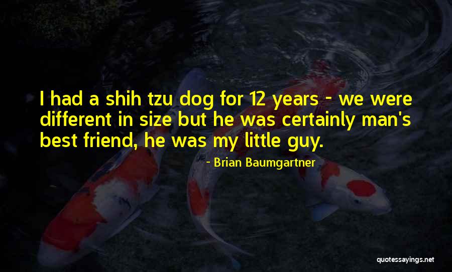 Arcade Veigar Quotes By Brian Baumgartner Arcade Veigar Quotes By Brian Baumgartner