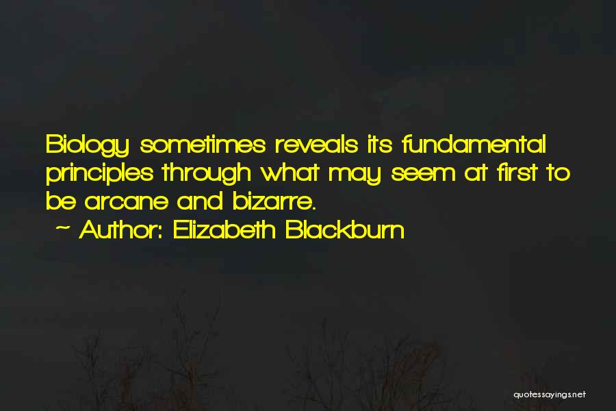 Arcane Quotes By Elizabeth Blackburn
